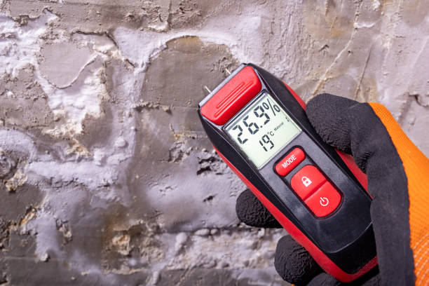 Best Mold Remediation  in Walton Park, NY